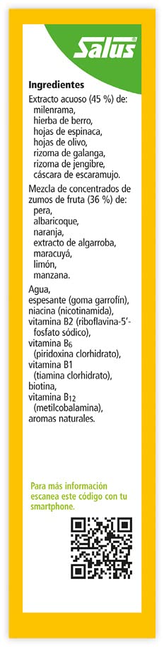 Salus - Vitamina-B-Komplex Complemento Alimenticio - 250 ml - Mejora tu Salud y Contribuye al Bienestar General - Fórmula Líquida de Vitaminas del Grupo B, Plantas y Zumos de Fruta