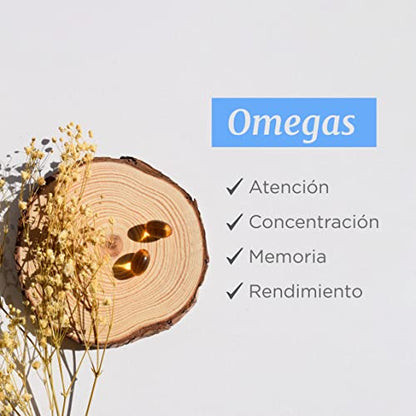 Vitae Equazen Act 60 cápsulas | Fórmula única de Omega 3 y 6 | Alto poder nutricional (EPA, DHA y GLA) | Atención, concentración, memoria y rendimiento