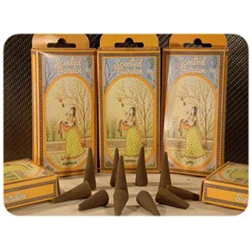 NATURAL CONO INCIENSO SCENTED GARDEN