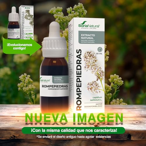 Soria Natural Rompepiedras Extracto - Diurético Natural - Apoya la Función Renal, Ayuda a Prevenir y Tratar Cálculos Renales - 100% Puro - Suplemento para la Salud del Riñón -