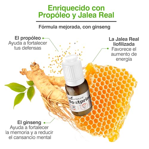 Soria Natural Fostprint Plus con Ginseng - Vitaminas para el Cansancio y la Memoria - Jalea Real, Vitaminas Grupo B, Biotina, Vitamina E, Vitamina D, L Carnitina y Propóleo Puro - 20 Viales con 15ml
