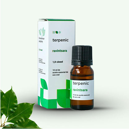 Terpenic Ravintsara Aceite Esencial | Quimiotipado | Confort Respiratorio, Fortalece Defensas Naturales, Uso en Difusor, Tópico y Oral | Bienestar Responsable para Respiración y Cuidado Integral