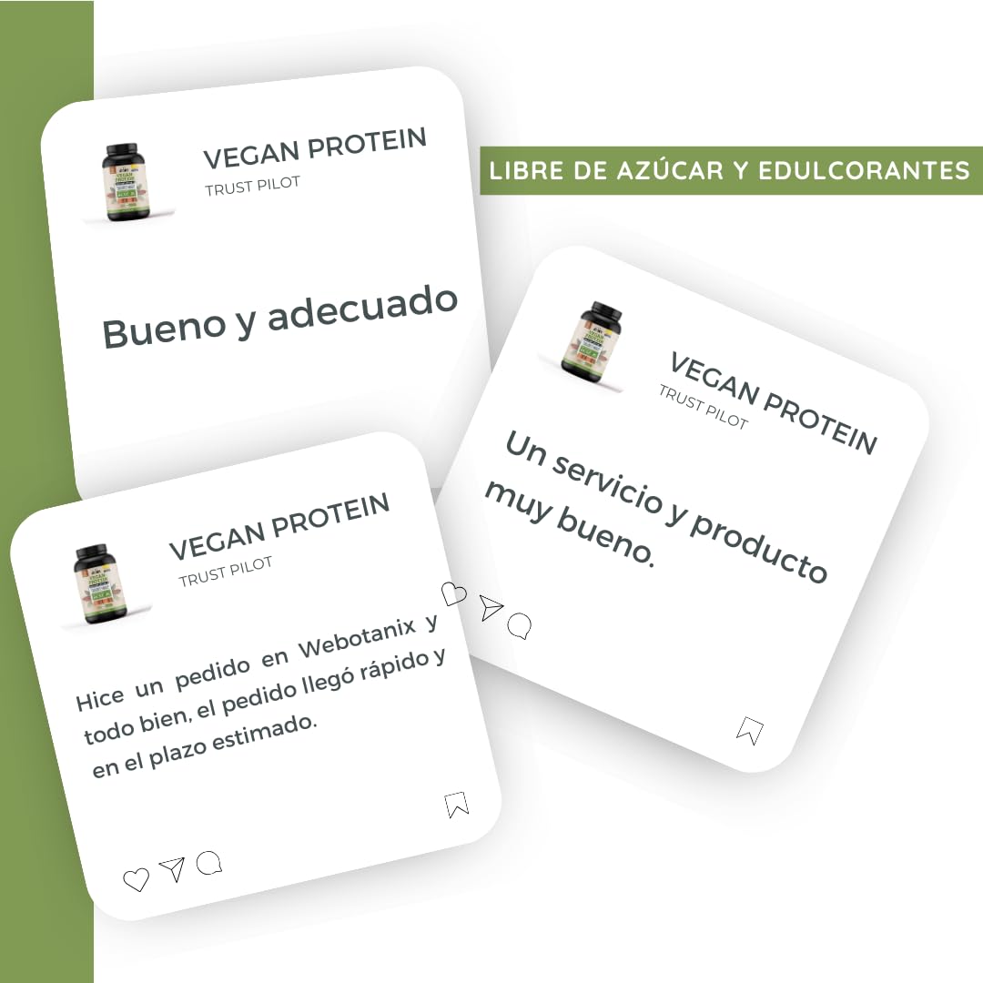 WeBotanix | Proteína Vegana 768 gr Sabor Chocolate | Vital Sport | Proteína de Cáñamo, Arroz y Guisante | Vitamina B6, Probióticos y Enzimas Digestivas | Sin Gluten, Sin Edulcorantes Artificiales