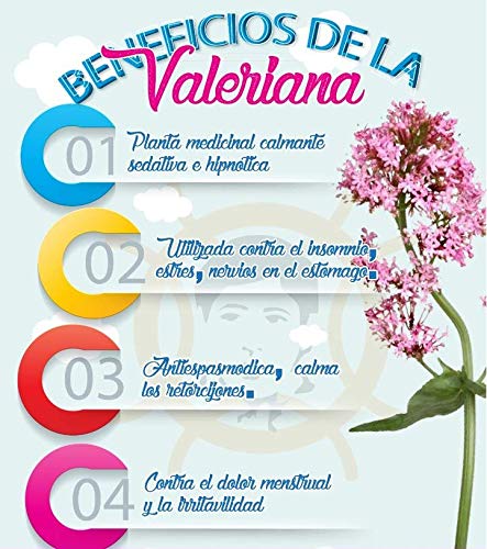 Naturmil Valeriana 500mg - Pack Doble 180 Comprimidos, Ayuda al Sueño y Relajación, Vegano, Sin Gluten