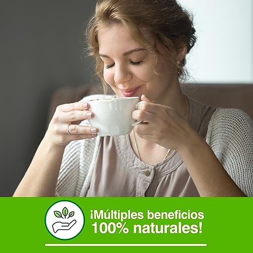 Soria Natural Té Verde Comprimidos - Propiedades Antioxidantes y Diuréticas – Con Camellia Sinensis L. - Aliado en tus Dietas de Control de Peso - 60 Comprimidos de 600 mg