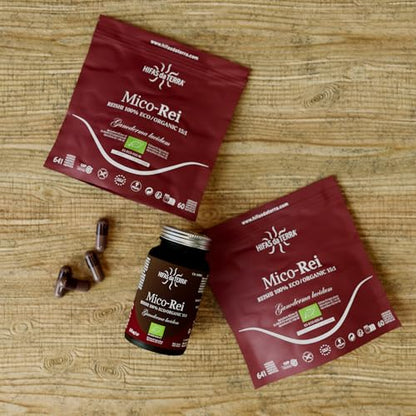 Mico Rei (Ganoderma lucidum) Hifas da Terra