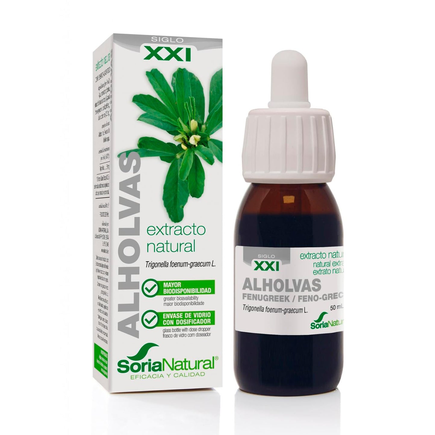 Soria Natural Alholvas Extracto - Favorece la recuperación del apetito, Favorece la Digestión, Regulación de la Glucosa en Sangre - 100% Puro - Salud del Sistema Digestivo - Botella de 50 ml