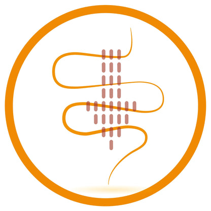 ProbiTec Complet - 30 Cápsulas - Combinación de 8 Cepas de Probióticos, FOS y Zinc - Ayuda a Reforzar las Defensas - Contribuye a Mejorar la Digestión y la Absorción de Nutrientes - 100% Natural