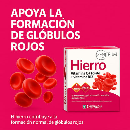 Hierro Bisglicinato con Vitamina C, B12 y Ácido Fólico | 45 Cápsulas Vegetales | Alta Absorción | Disminuye el Cansancio y la Fatiga | Laboratorios Ynsadiet