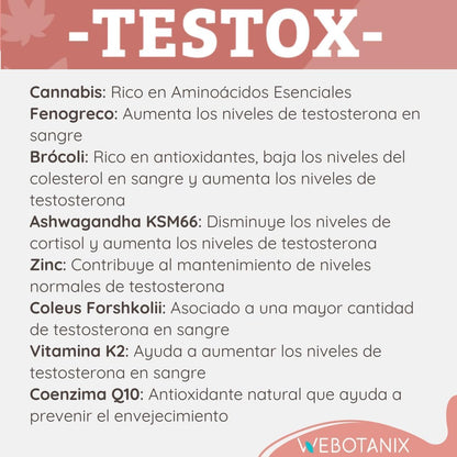 WeBotanix | Textox 60 capsulas | Vital Sport | Complemento Alimenticio a Base de Extractos Vegetales | Proteína de Cáñamo | Ashwagandha, Fenogreco, Vitamina K2 y Coenzima Q10 | Ingredientes Naturales