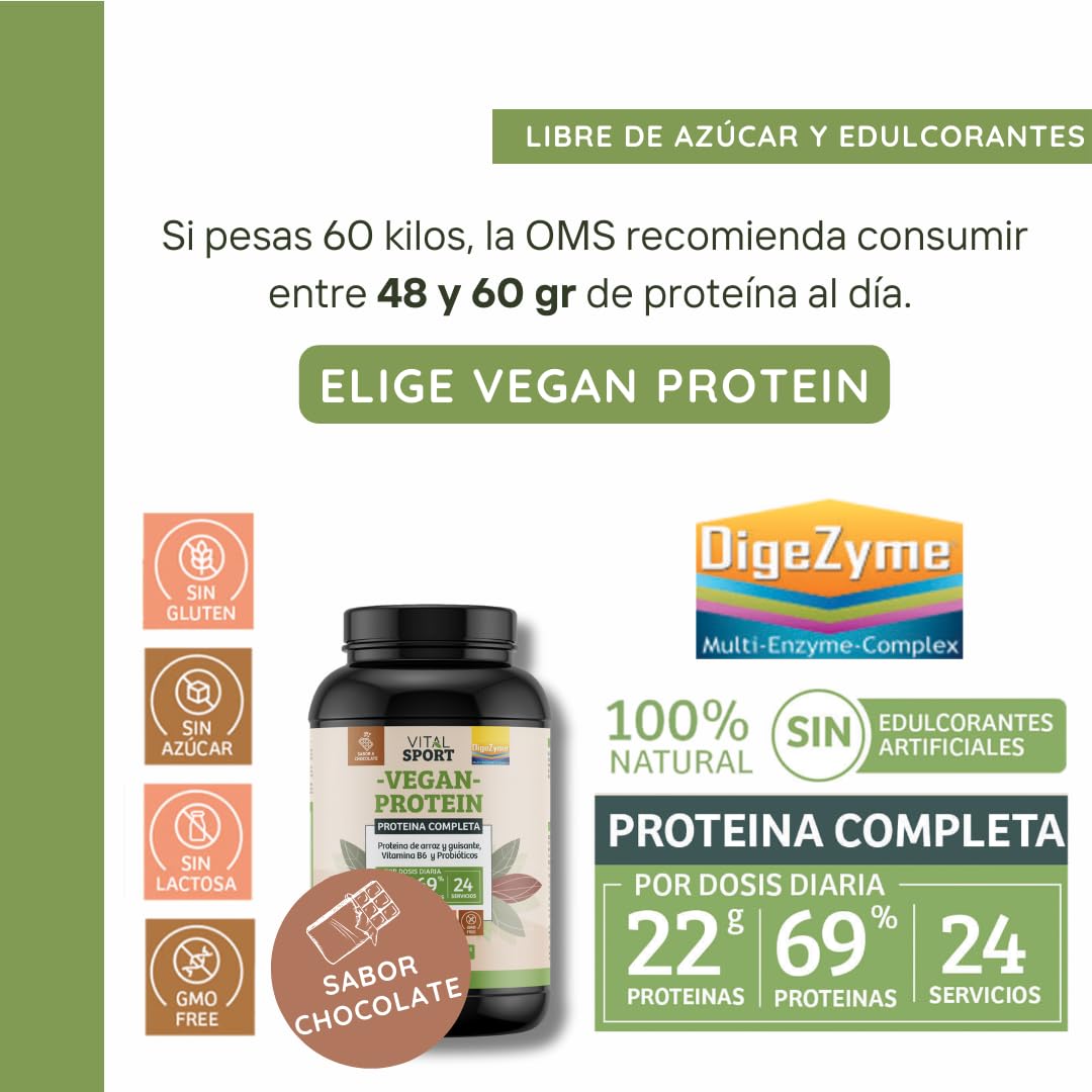 WeBotanix | Proteína Vegana 768 gr Sabor Chocolate | Vital Sport | Proteína de Cáñamo, Arroz y Guisante | Vitamina B6, Probióticos y Enzimas Digestivas | Sin Gluten, Sin Edulcorantes Artificiales