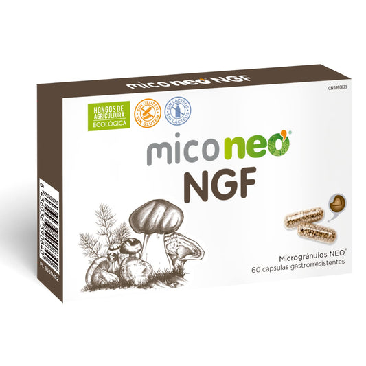 MICO NEO | NGF | 60 Cápsulas | Favorece el Rendimiento Cognitivo | Con Bacopa, Melena de león, Reishi, Cordyceps y Camu-Camu | Hongos de Agricultura Ecológica