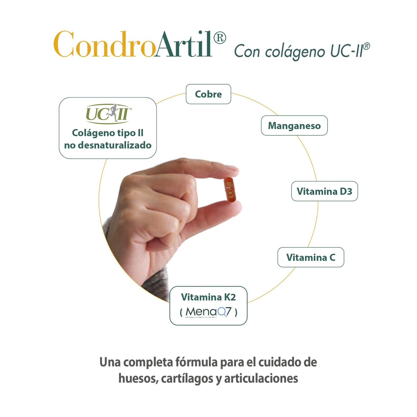 CondroArtil® - Colágeno Tipo 2 UC-II® No Desnaturalizado - Ayuda a Fortalecer los Huesos y Cartílagos - Contribuye a la Formación y Mantenimiento del Tejido Conectivo - 90 Cápsulas - 100% Natural