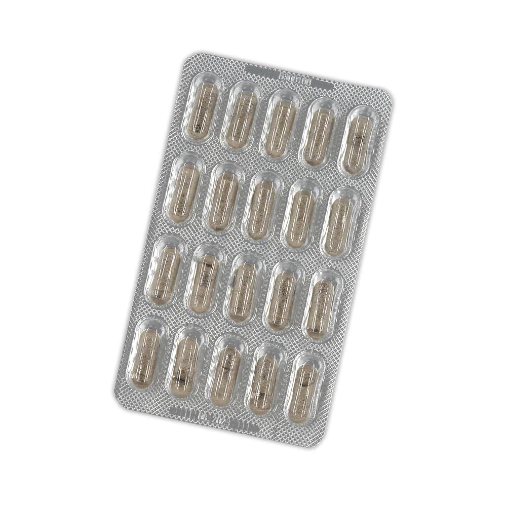 Salus - Echinol Complemento Alimenticio - 80 Cápsulas - Contribuye al Fortalecimiento del Sistema Inmunitario - Elaborado con Extracto de Equinácea Purpúrea