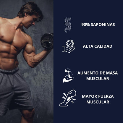 Tribulus Terrestris Puro - Mega Plus Sport Nutrition - 120 Capsulas - 600 Mg - 90% Saponinas - Fuerza, Resistencia, Recuperación Muscular - Pre Entreno (171055)