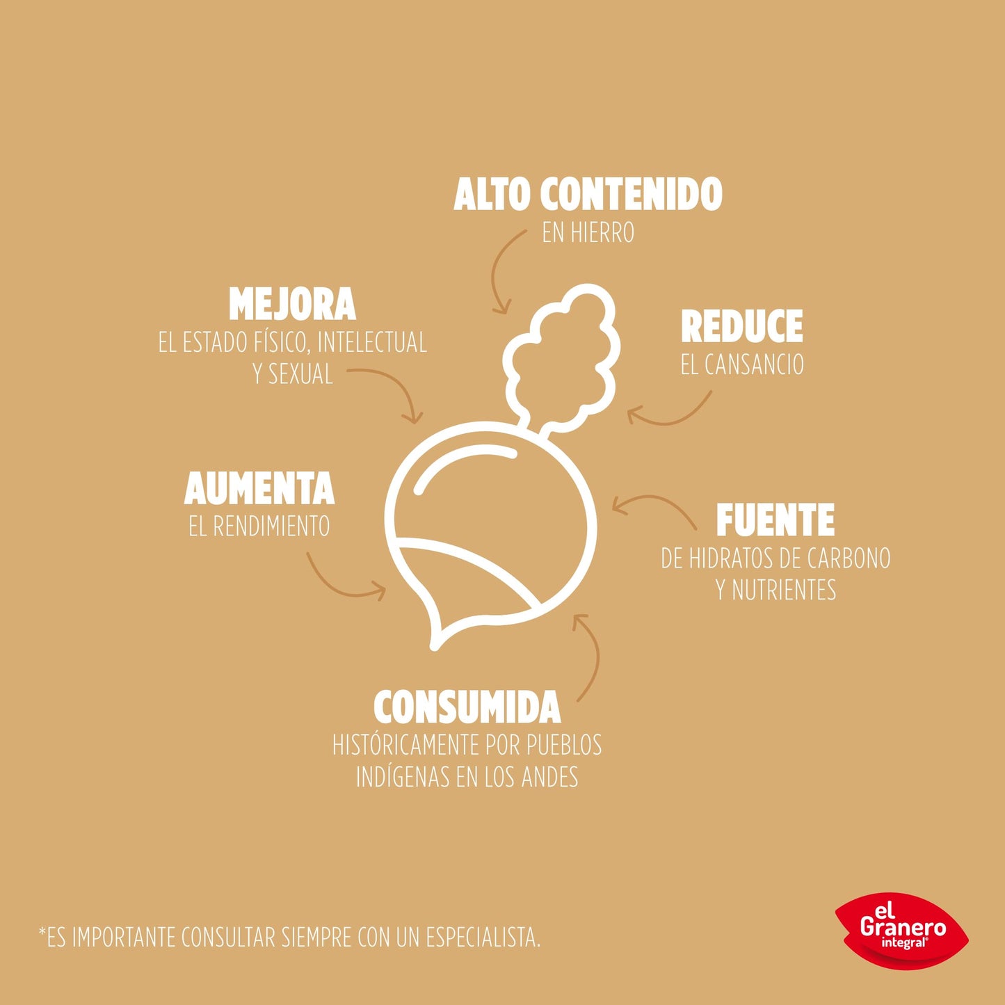 Maca Bio 200 g de polvo
