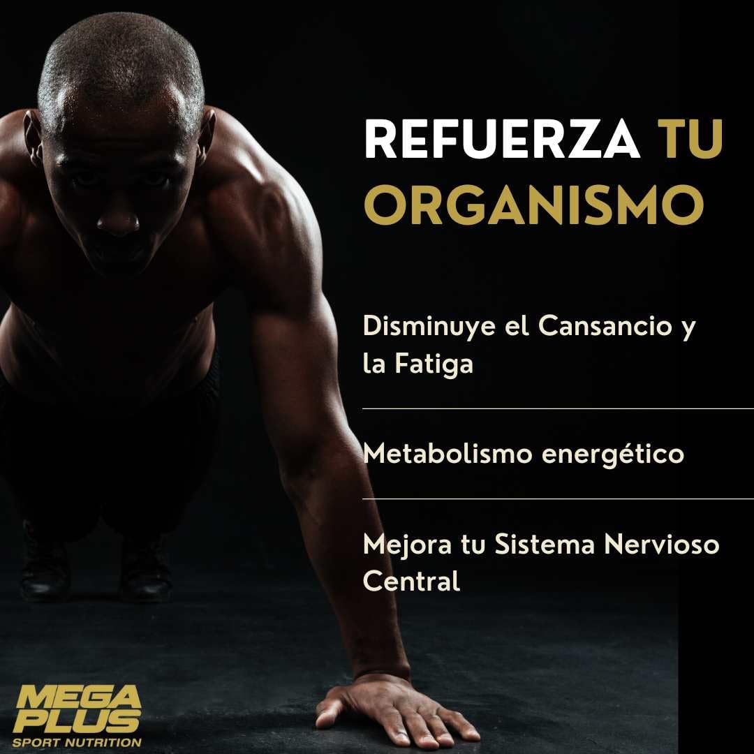 Cafeina - Cafeína Pura En Capsulas - Mega Plus Concept - Quemagrasa Potente - Pastillas De Cafeina - Ideal Para Rendimiento Deportivo - 200 Mg - 90 Capsulas