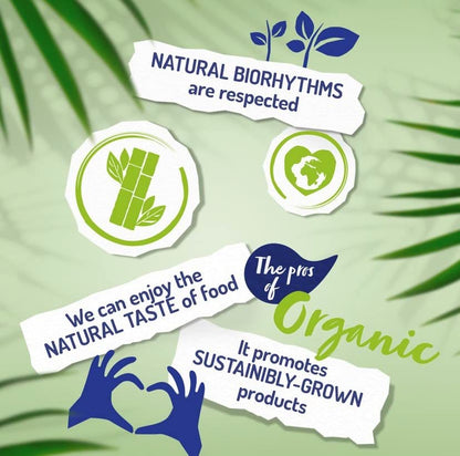 ISOLA BIO - Pack de 6 Unidades de 1 L de Bebida Ecológica Vegetal de Arroz