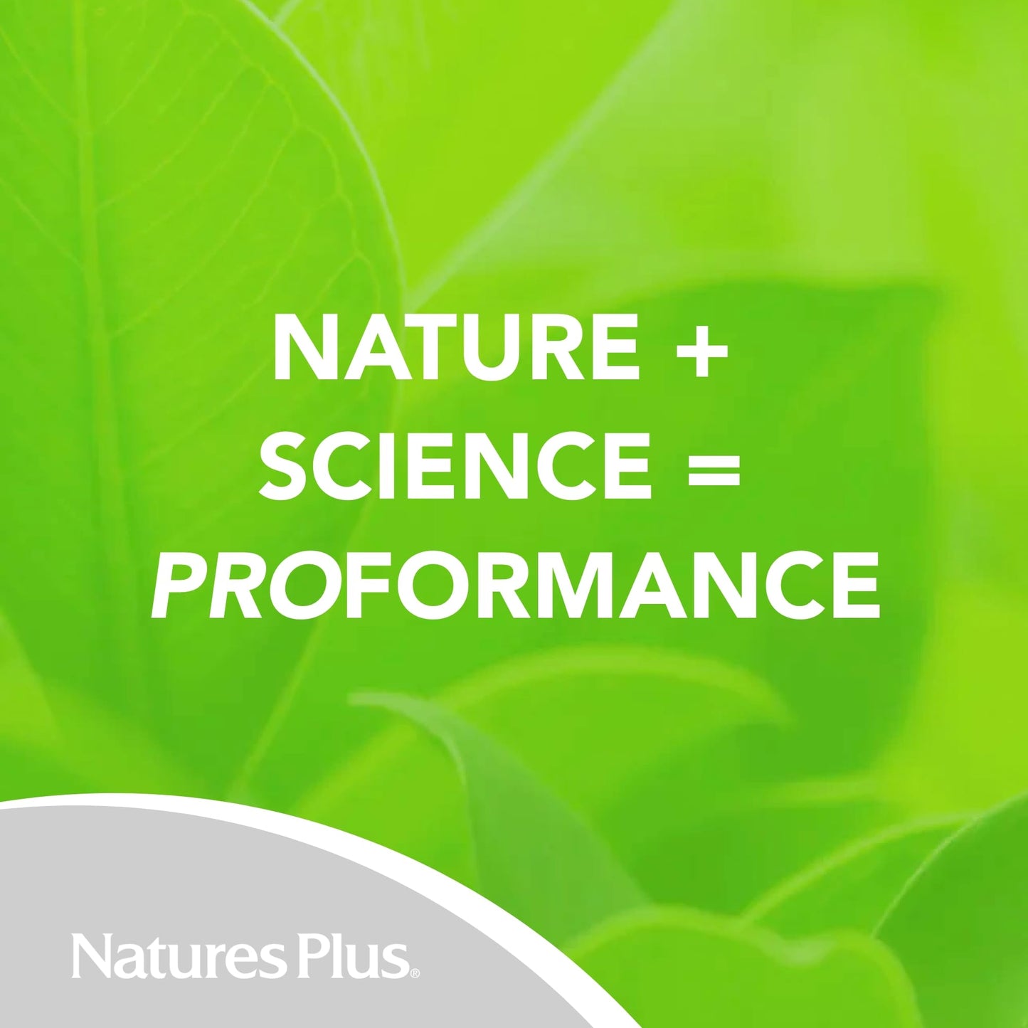 NaturesPlus Pro Quercetina 600 mg 60 Comprimidos