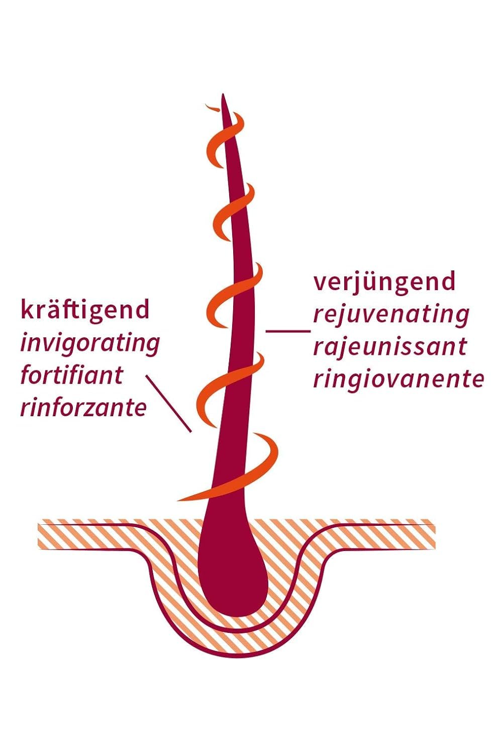 khadi STRONG AMLA Aceite capilar ayurvédico, favorece el crecimiento del cabello, previene la caída y las canas, fortalece las raíces del cabello, 100% vegano y sin siliconas, cosmética natural, 50ml