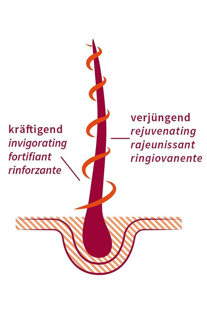 khadi STRONG AMLA Aceite capilar ayurvédico, favorece el crecimiento del cabello, previene la caída y las canas, fortalece las raíces del cabello, 100% vegano y sin siliconas, cosmética natural, 50ml