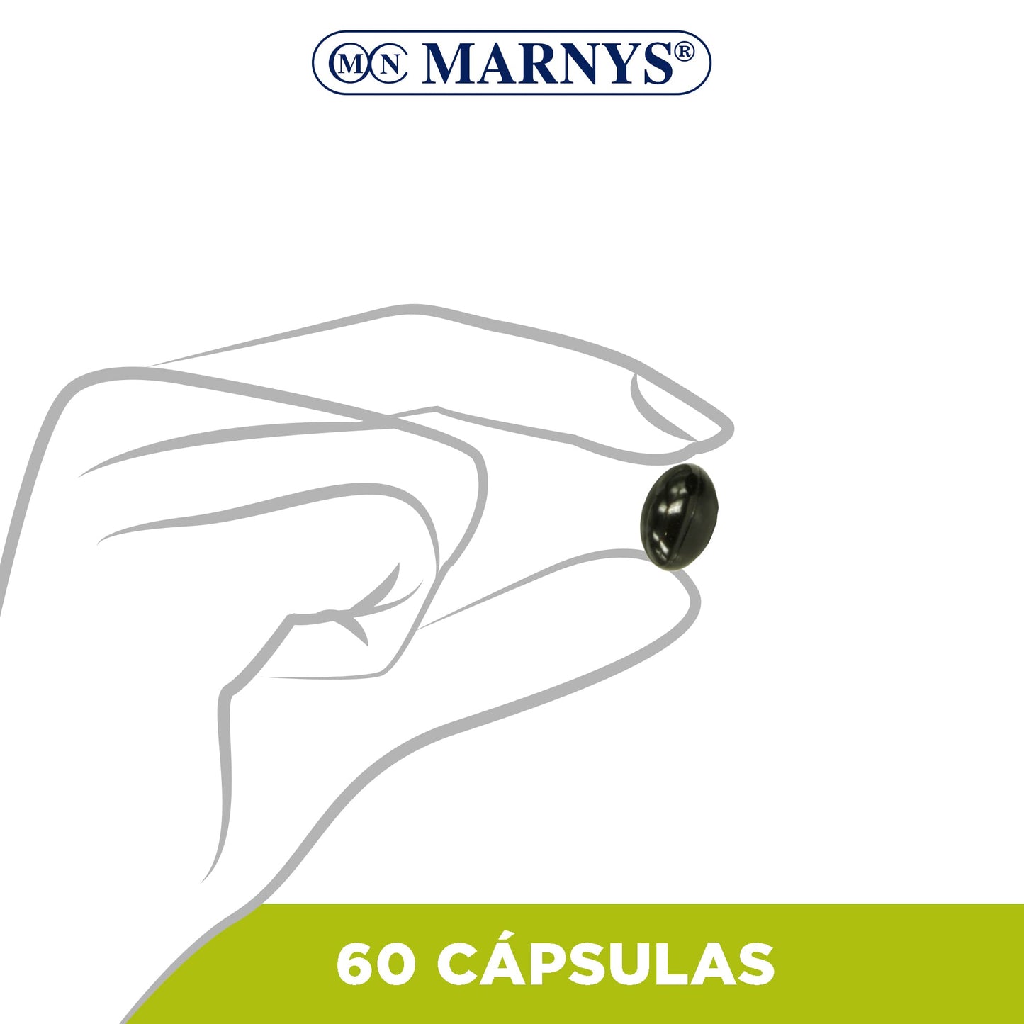 Carbón Vegetal Activo y esencias de Anís y Menta - Ayuda para Adelgazar, Para Eliminar Gases Intestinales, Alivia Hinchazón y Dolor Estomacal, Suplemento Depurativo - 60 cápsulas