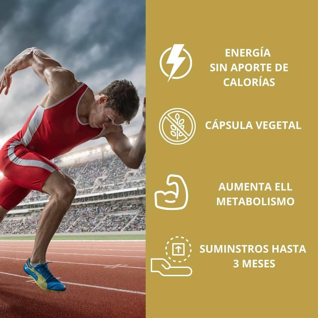 Cafeina - Cafeína Pura En Capsulas - Mega Plus Concept - Quemagrasa Potente - Pastillas De Cafeina - Ideal Para Rendimiento Deportivo - 200 Mg - 90 Capsulas