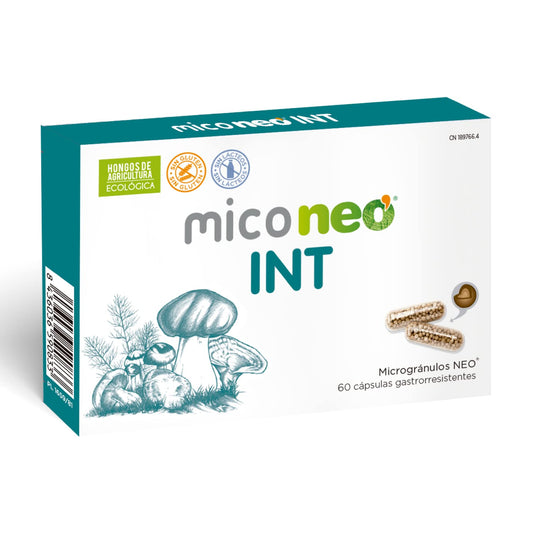 MICO NEO | INT | 60 Cápsulas | A Base de Achicoria, Shiitake, Melena de León y Seta de Cardo | Prebiótico Natural | Ayuda al Bienestar del Sistema Digestivo
