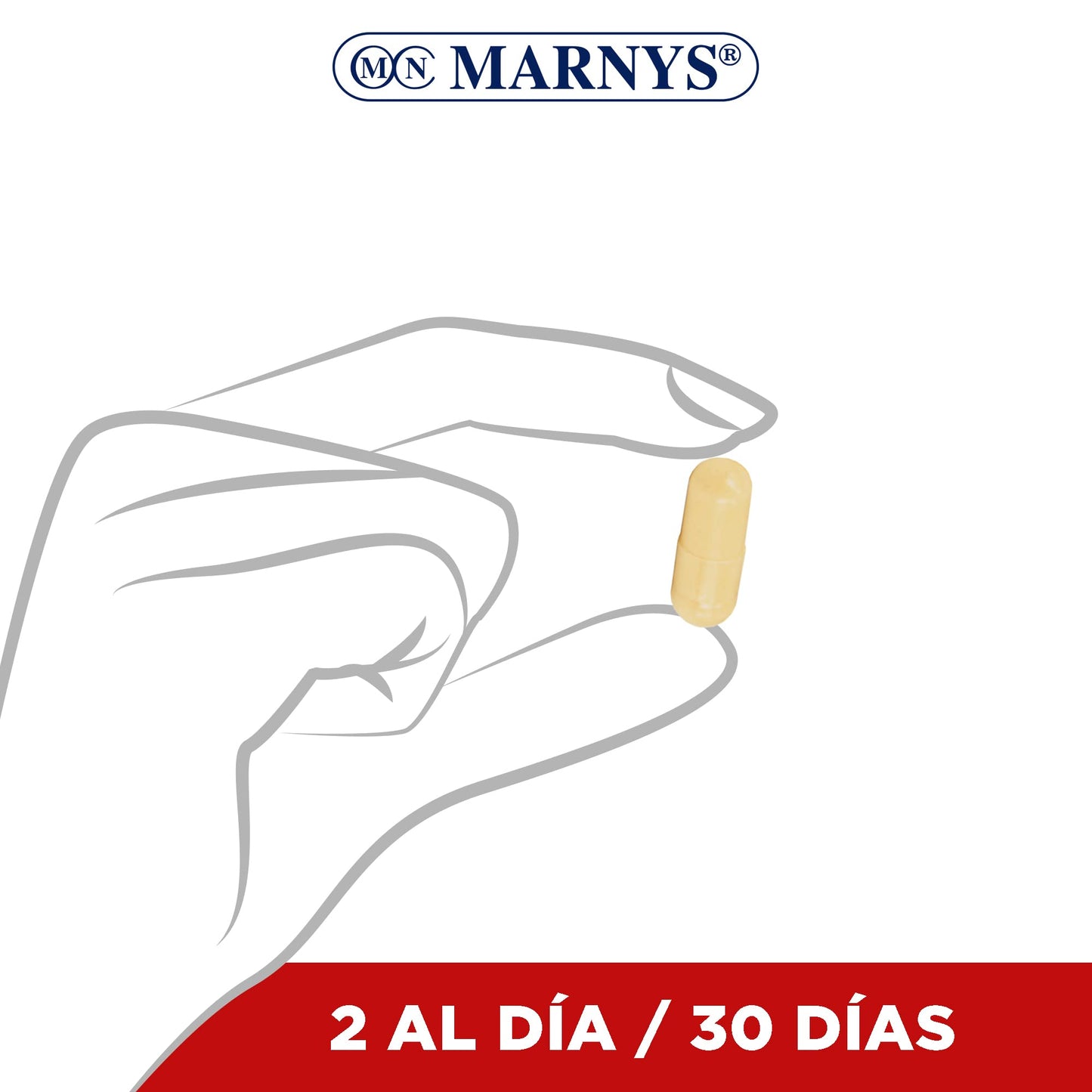 Maca Andina BIO - Macamar - Energía, vitalidad y deseo en la mujer - Para combatir el cansancio y la fatiga - 60 cápsulas vegetales