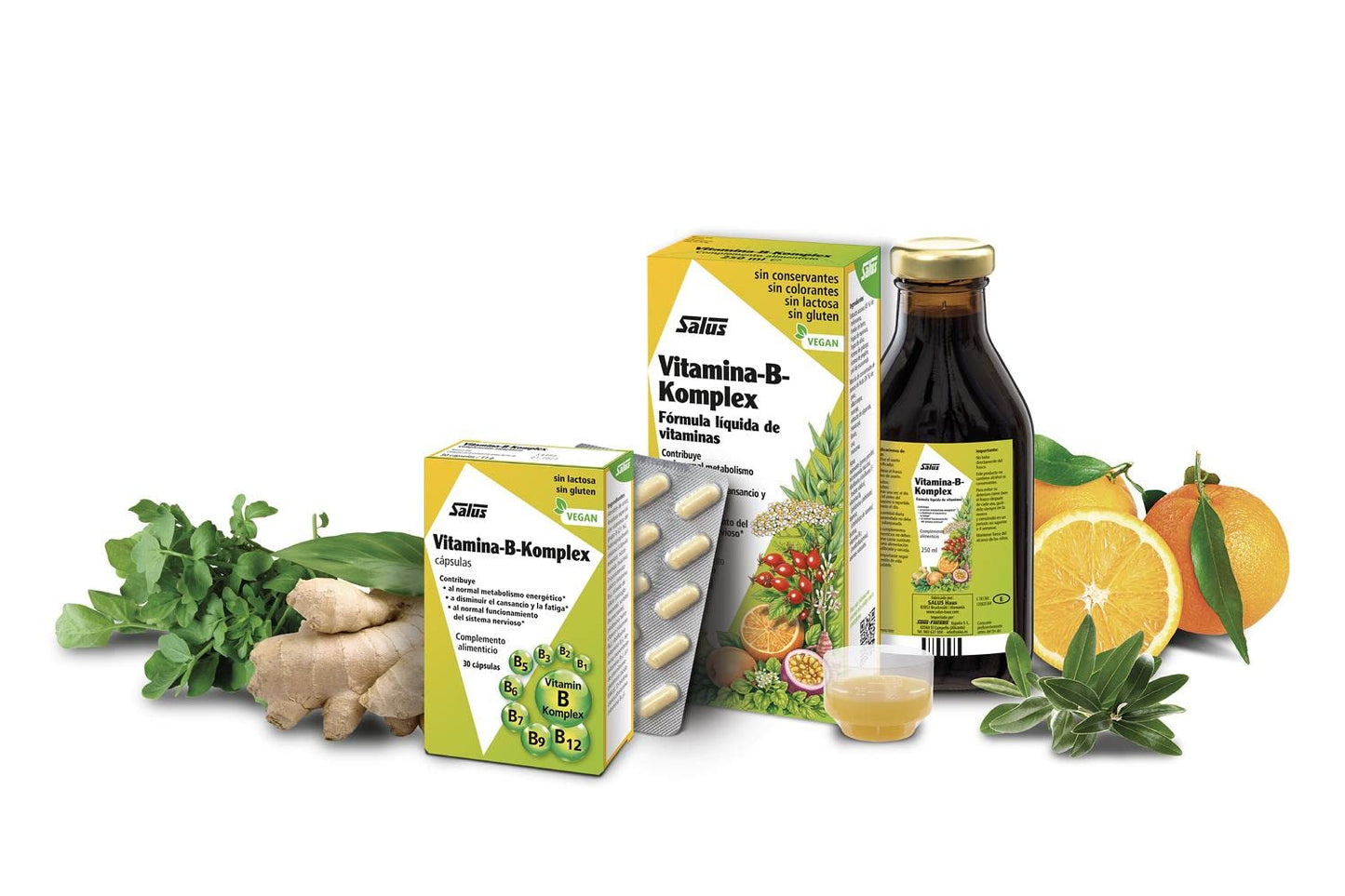 Salus - Vitamina-B-Komplex Complemento Alimenticio - 250 ml - Mejora tu Salud y Contribuye al Bienestar General - Fórmula Líquida de Vitaminas del Grupo B, Plantas y Zumos de Fruta