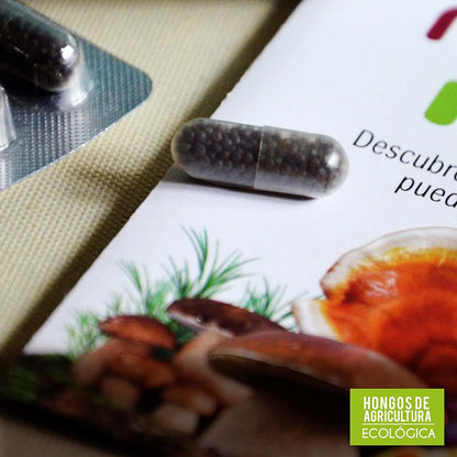 MICO NEO | INT | 60 Cápsulas | A Base de Achicoria, Shiitake, Melena de León y Seta de Cardo | Prebiótico Natural | Ayuda al Bienestar del Sistema Digestivo