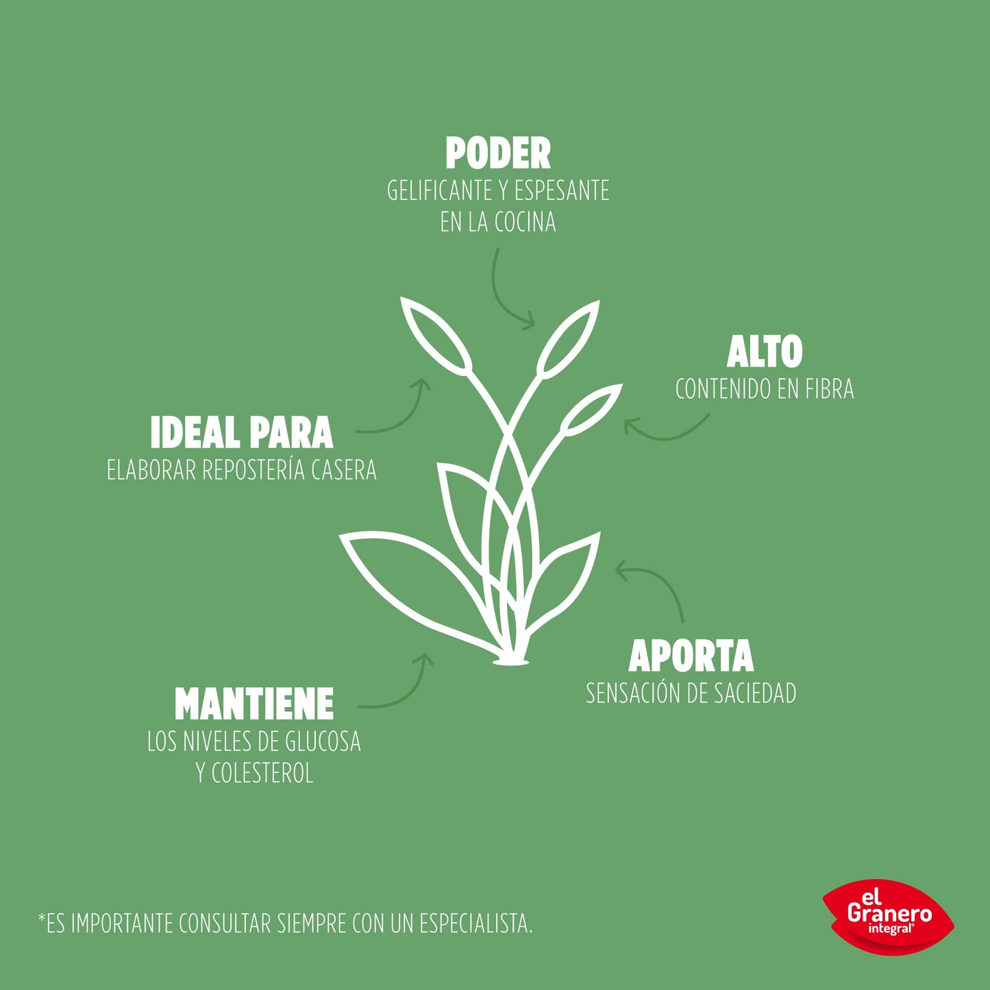 El Granero Integral - Psyllium BIO - 400 g - Superalimento Vegano - Alto Contenido en Fibra - Contribuye al Normal Funcionamiento Intestinal y Digestivo - Ayuda a Controlar el Peso