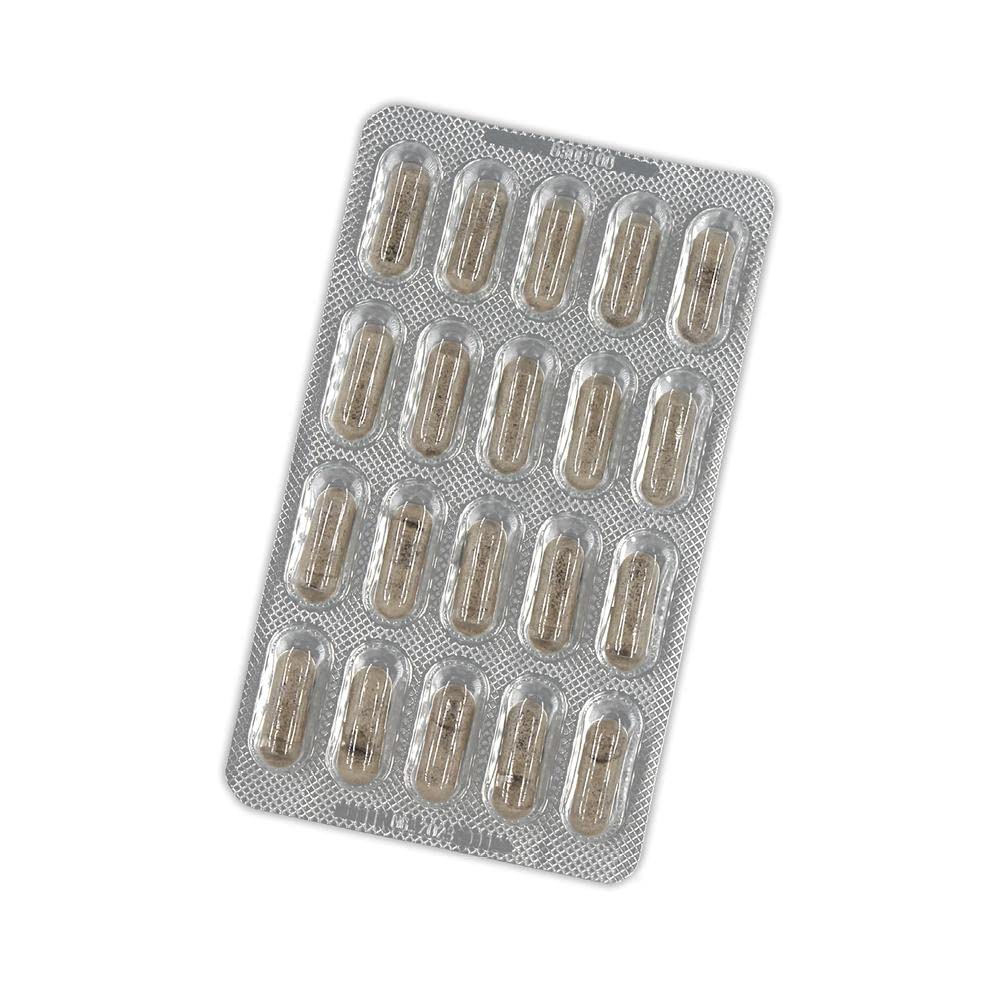Salus - Ginkocel Forte Complemento Alimenticio - 100 Cápsulas - Ayuda a Mantener la Memoria, la Función Cognitiva y el Equilibrio Mental - Contiene Ginkgo Biloba y Vitaminas del Grupo B