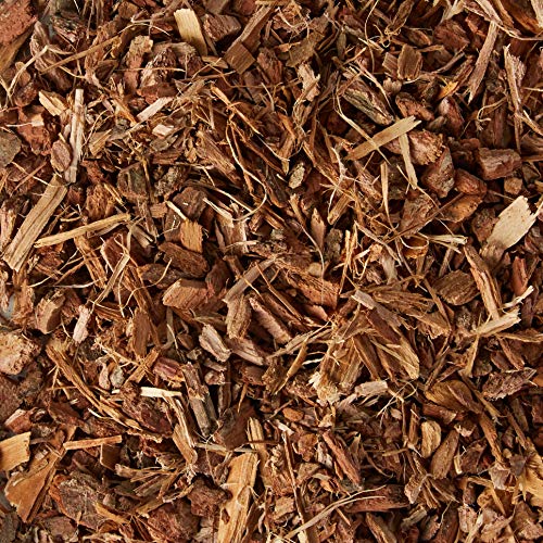 Encina Cortezas 100 gr