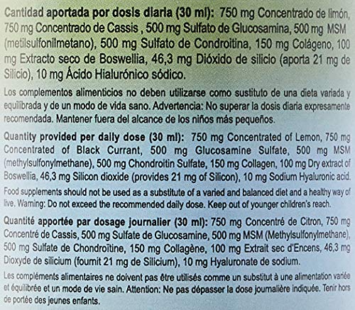 Jellybell Artrion - 1000 gr