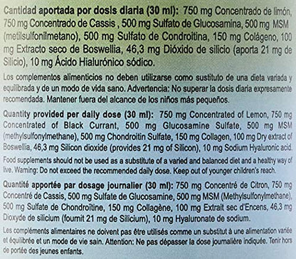 Jellybell Artrion - 1000 gr
