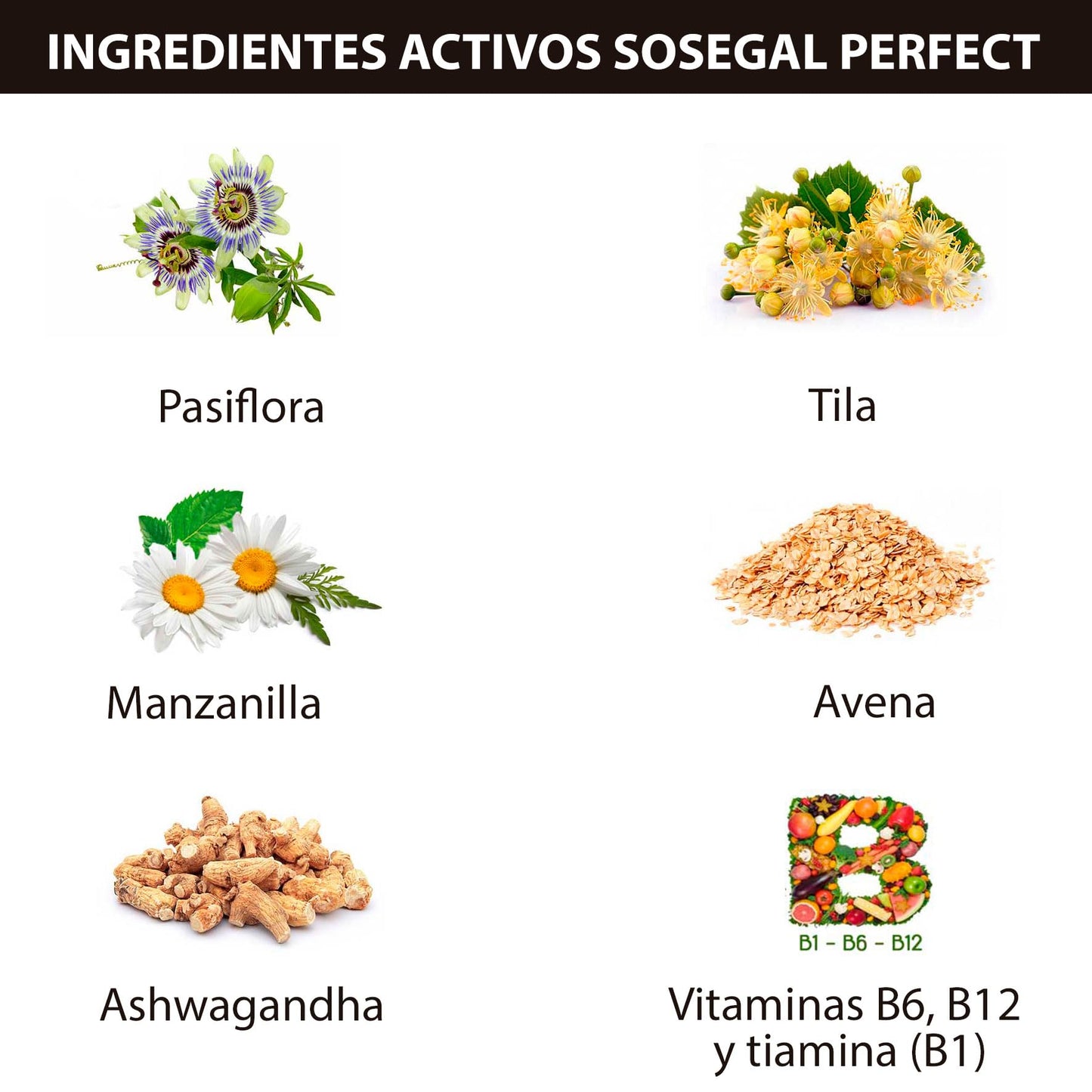 Novadiet Complemento Alimenticio - 50 gr