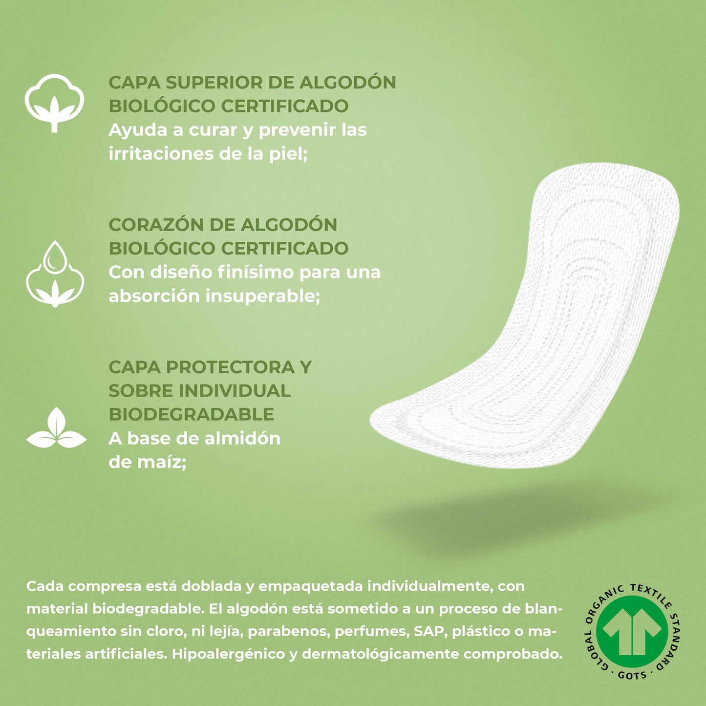 Organ(y) c, Salvaslip de Algodón Certificado