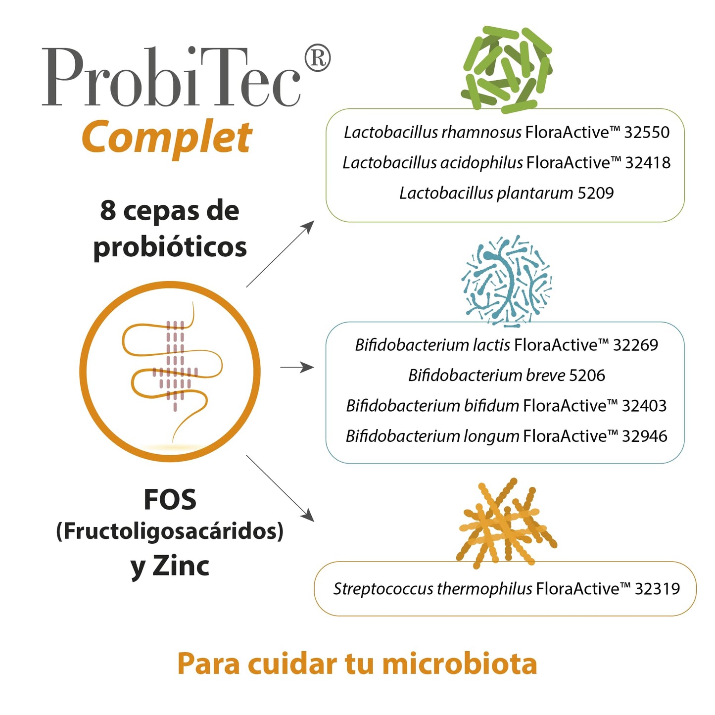 ProbiTec Complet - 30 Cápsulas - Combinación de 8 Cepas de Probióticos, FOS y Zinc - Ayuda a Reforzar las Defensas - Contribuye a Mejorar la Digestión y la Absorción de Nutrientes - 100% Natural