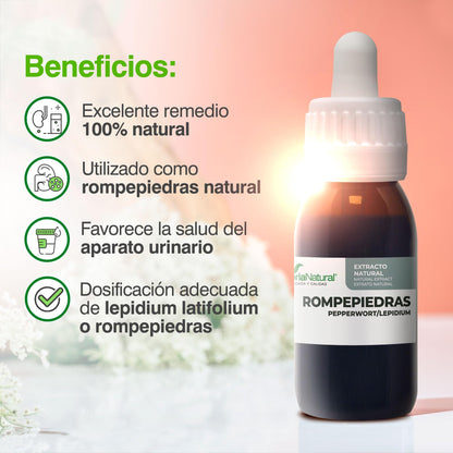 Soria Natural Rompepiedras Extracto - Diurético Natural - Apoya la Función Renal, Ayuda a Prevenir y Tratar Cálculos Renales - 100% Puro - Suplemento para la Salud del Riñón -