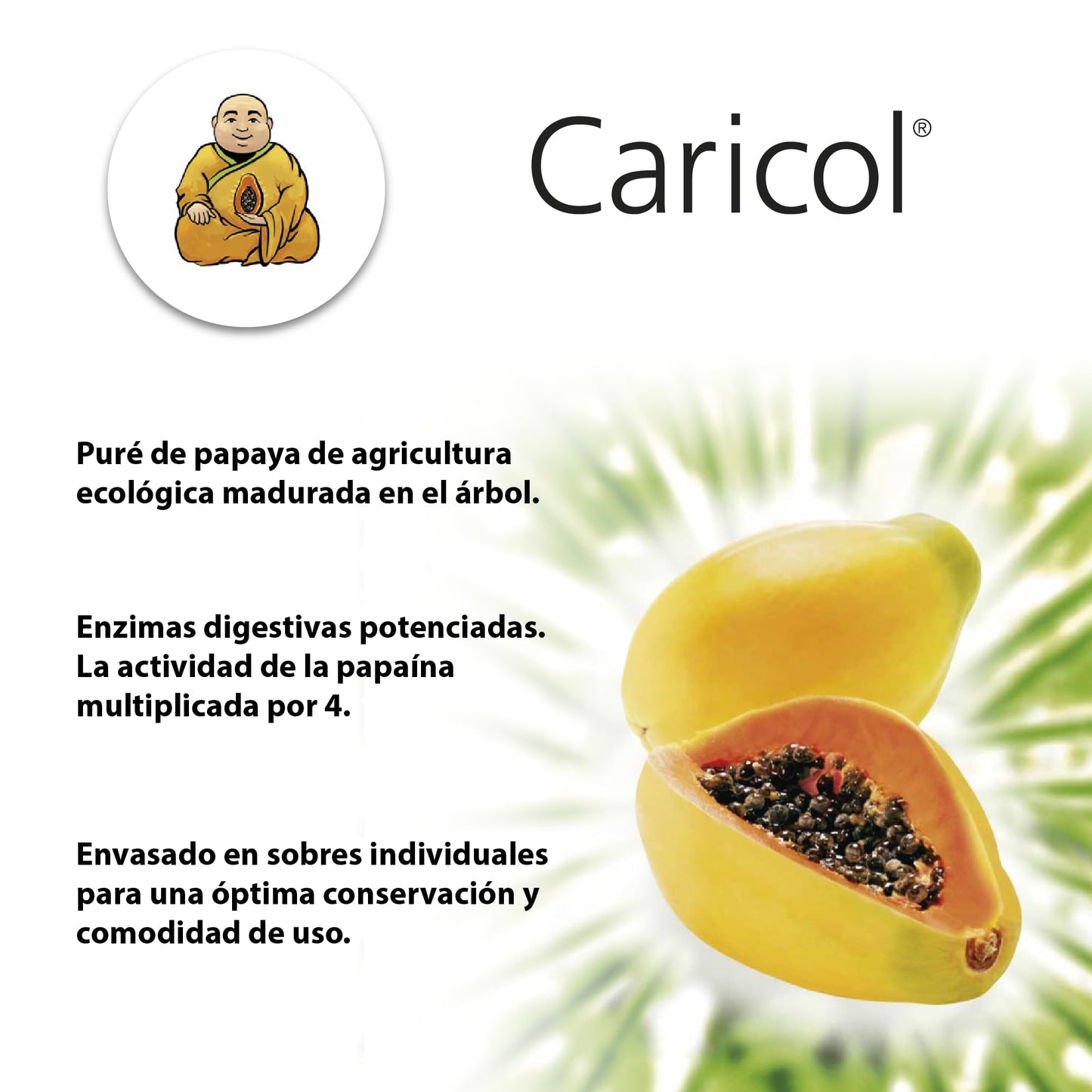Caricol - Con Enzimas Digestivas de Papaya - Promueve un Sistema Digestivo Sano - 20 Estuches Individuales de 20 g - Gran Fuente de Nutrientes - Sin Aditivos - 100% Natural