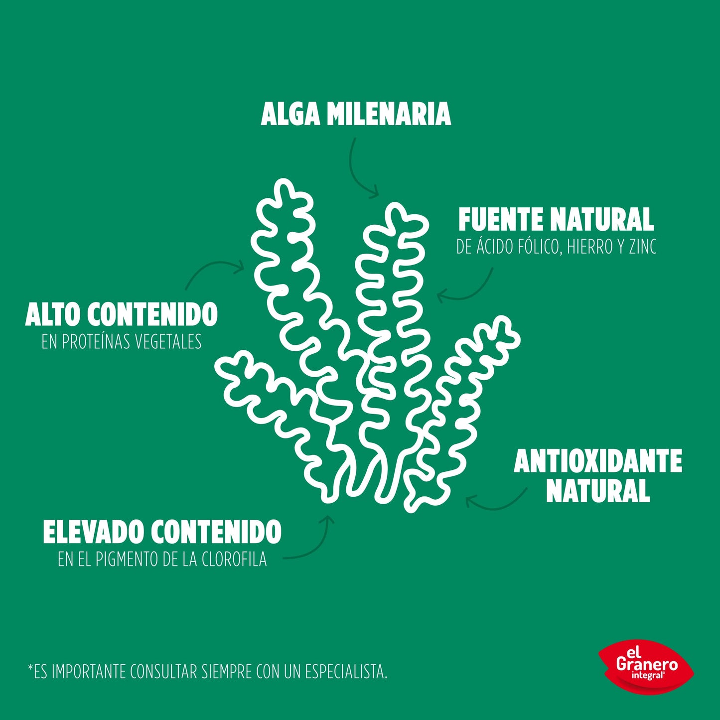 El Granero Integral - Chlorella Ecológica - 200 g - Apto para Veganos - Rico en Proteínas, Fibra y Vitamina B12 - Ayuda a la Depuración del Organismo - Ideal para Mezclar con Líquidos
