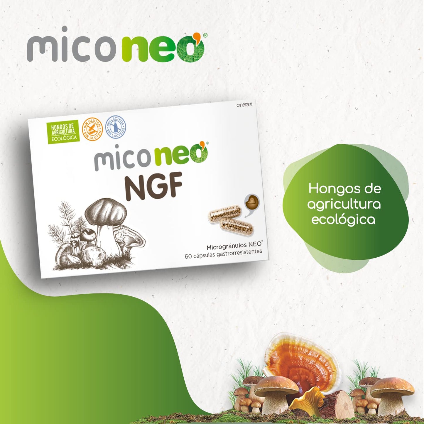 MICO NEO | NGF | 60 Cápsulas | Favorece el Rendimiento Cognitivo | Con Bacopa, Melena de león, Reishi, Cordyceps y Camu-Camu | Hongos de Agricultura Ecológica