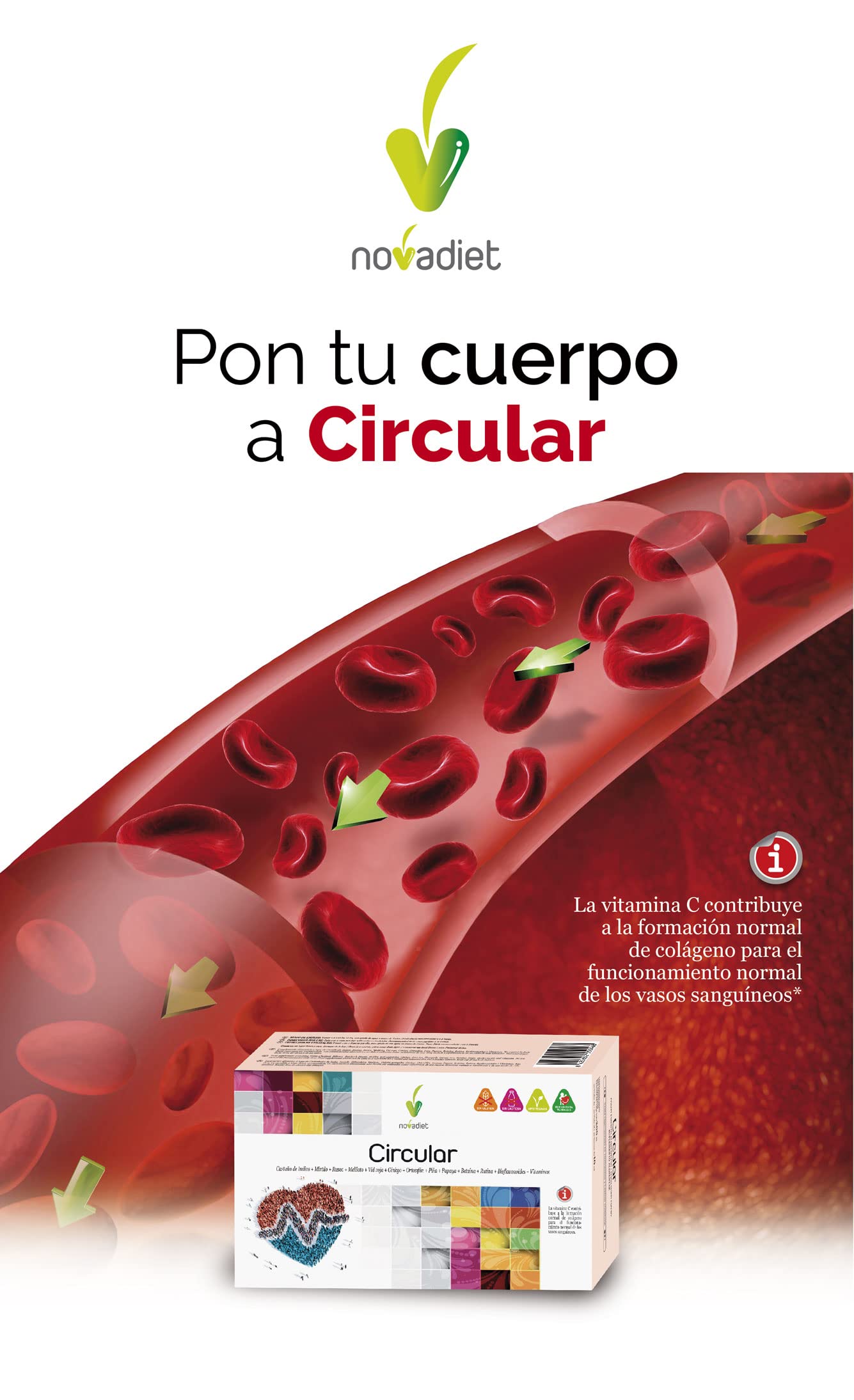 Novadiet - Circular Viales con Rusco, Rutina, Mirtilo, Castaño de Indias, Meliloto, Ginkgo, Ayuda a la Circulación Venosa, Reducir la Hinchazón, la Pesadez en Piernas Cansadas - 20 Viales