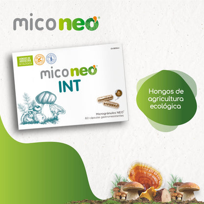 MICO NEO | INT | 60 Cápsulas | A Base de Achicoria, Shiitake, Melena de León y Seta de Cardo | Prebiótico Natural | Ayuda al Bienestar del Sistema Digestivo