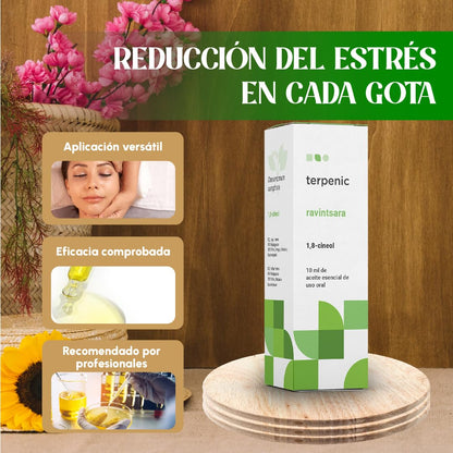 Terpenic Ravintsara Aceite Esencial | Quimiotipado | Confort Respiratorio, Fortalece Defensas Naturales, Uso en Difusor, Tópico y Oral | Bienestar Responsable para Respiración y Cuidado Integral