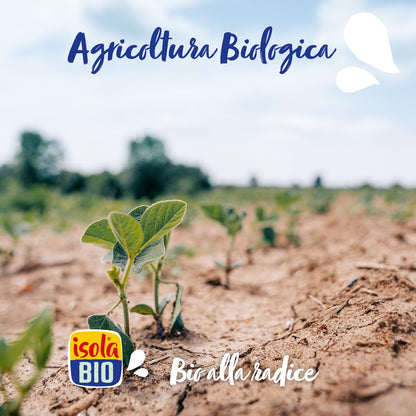 ISOLA BIO Crema Para Cocinar De Soja Bio 200 ml