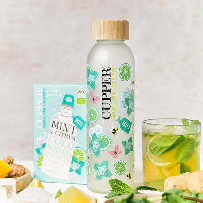 INFUSION FRIA DE MENTA Y CITRICOA BIO 10 Bolsas