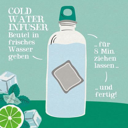 INFUSION FRIA DE MENTA Y CITRICOA BIO 10 Bolsas