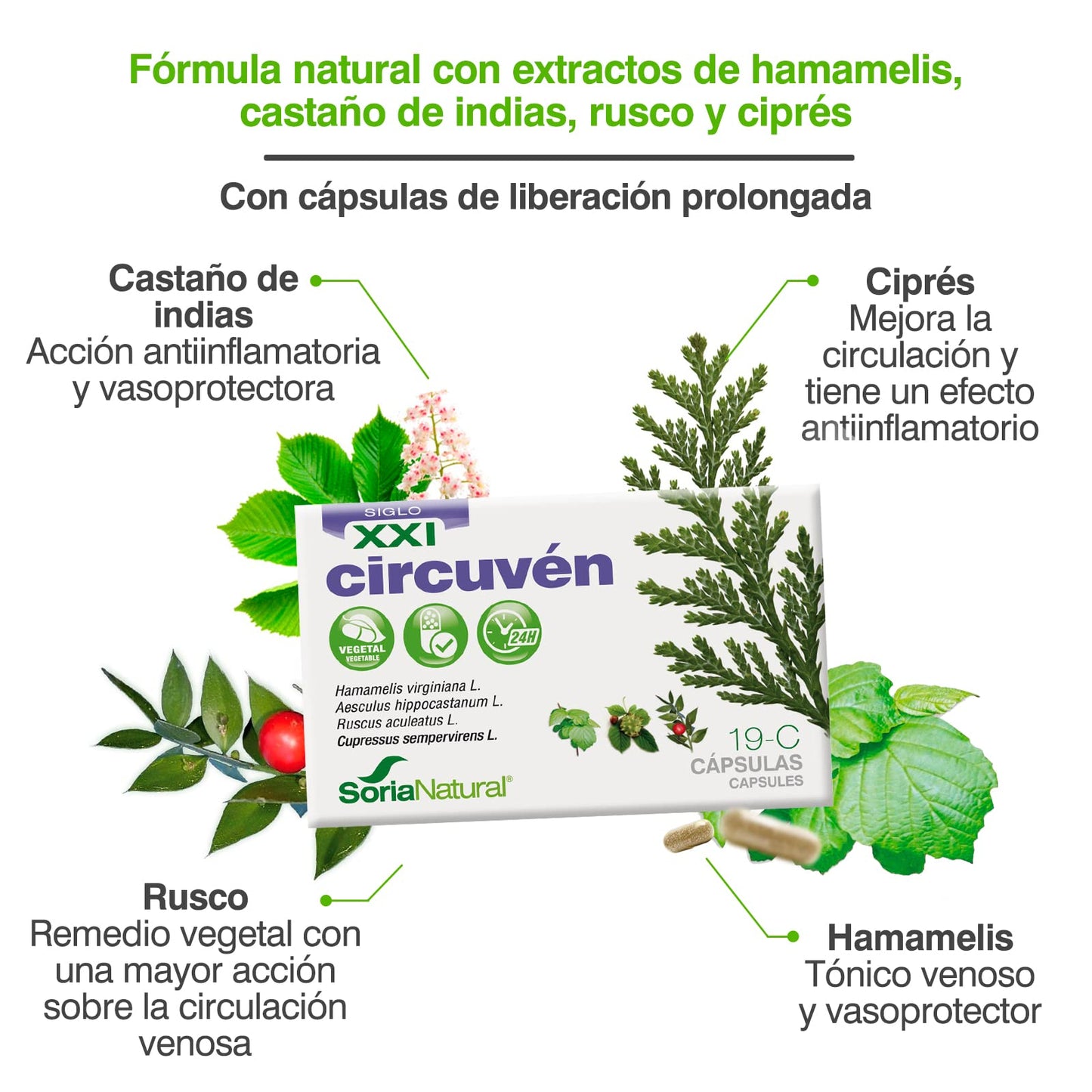 Soria Natural Circuven cápsulas - Alivio Piernas cansadas, Favorece la Circulación de Retorno - Castaño de Indias, Ciprés, Hamamelis, Rusco, Vitamina C - 30 cápsulas